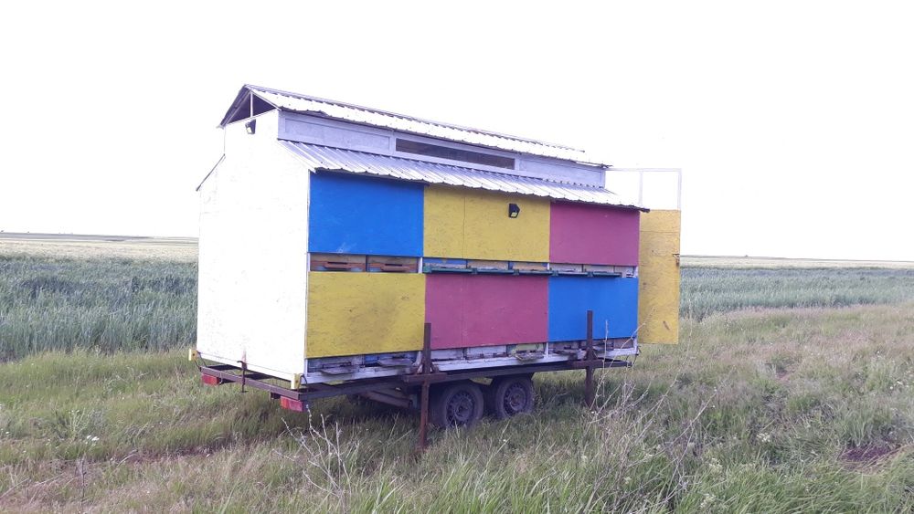Container apicol modul