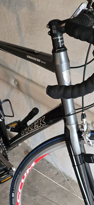 Cursiera - Trek Alpha 1.9