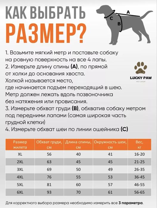 Одежда для собак