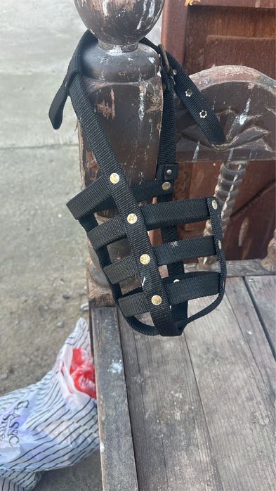 Алабай,Домашний,Умный