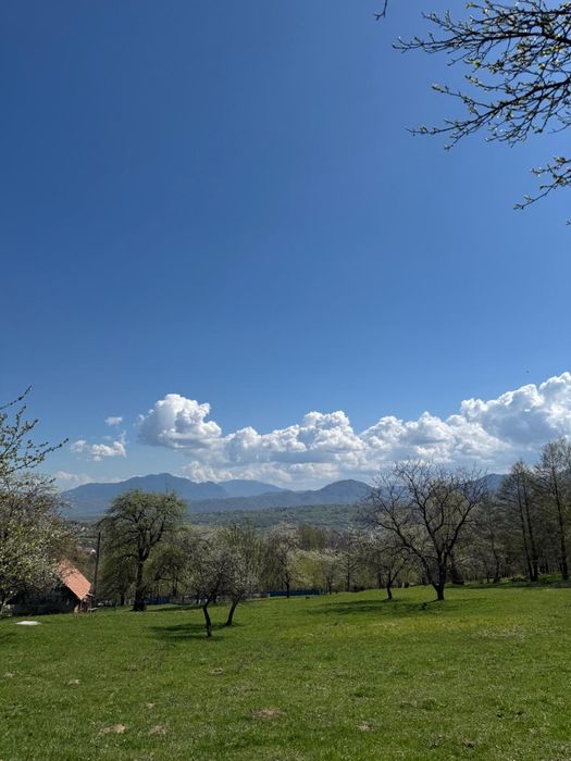 Teren in Bran Predelut la poale de munte intravilan
