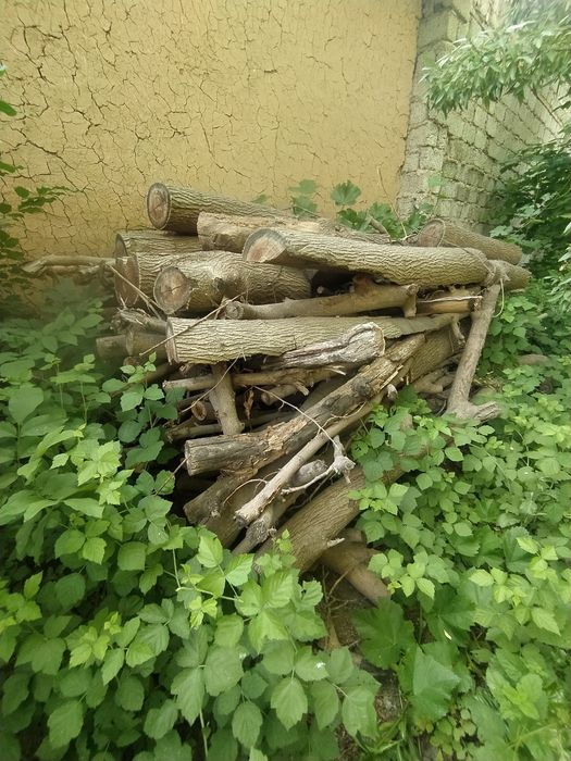 Утин сотилади! Otin bor sotiladi