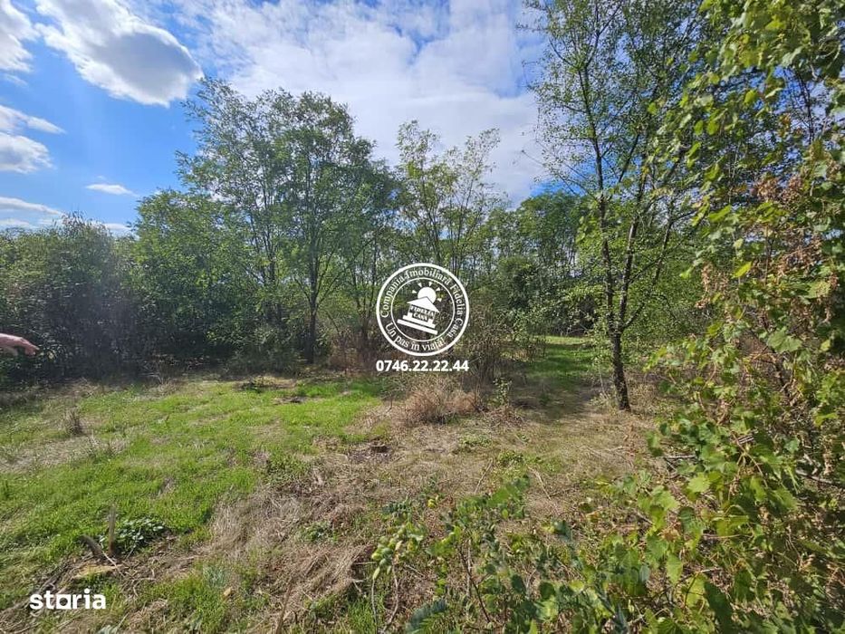 Teren intravilan 900 m , Aroneanu , 1km de la rond , langa padurice