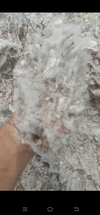 улук ПАХТА сотилади