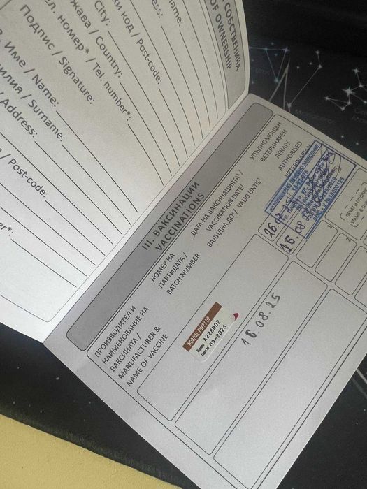 Намерени кученца търсят своя нов дом!