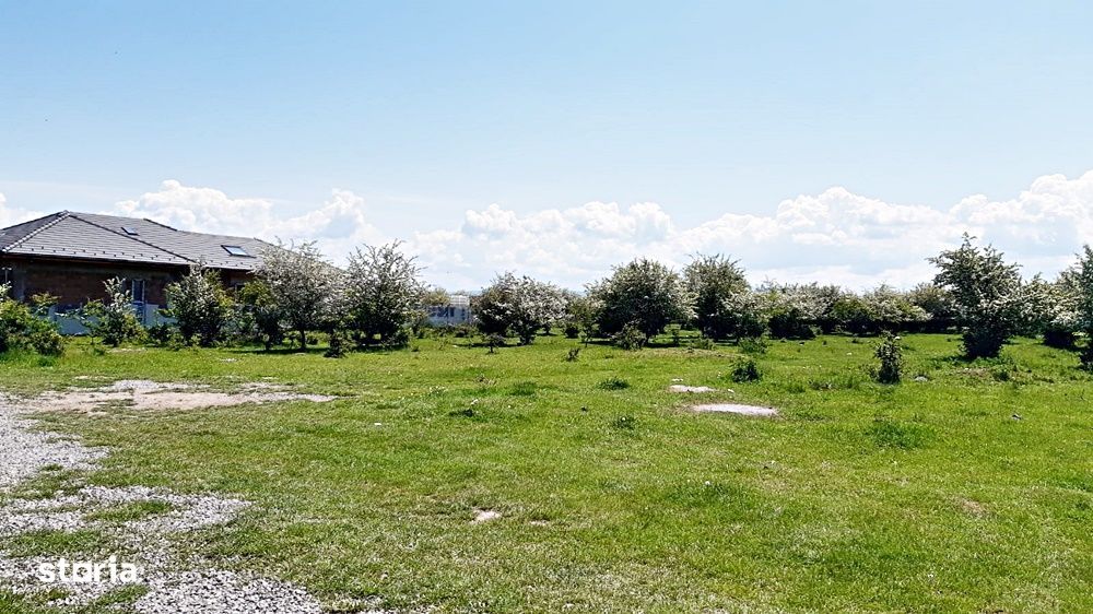 Sanpetru teren pentru dezvoltare imobiliara 4318mp, 55 euro/mp