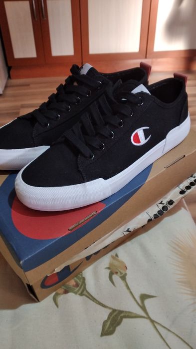 Кецове  Shampion