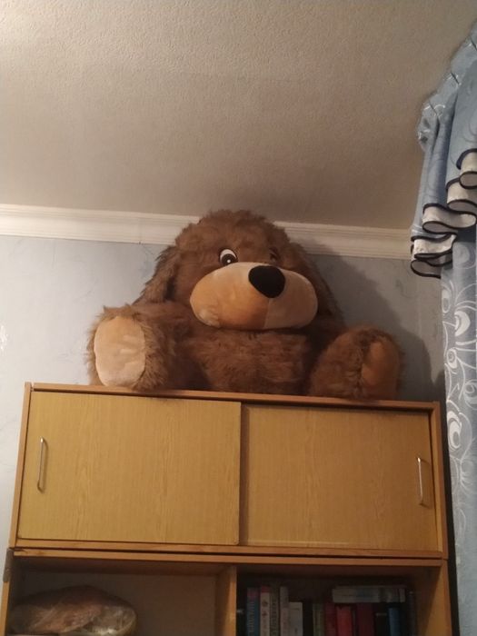 Большие мягкие игрушки - собака, медвежонок, кот. В отличном состоянии