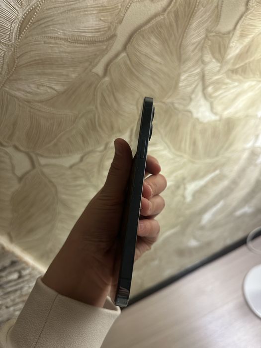 Ipnone 12pro max
