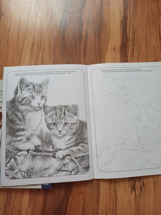 Книжка за рисуване  животни + нови флумастери