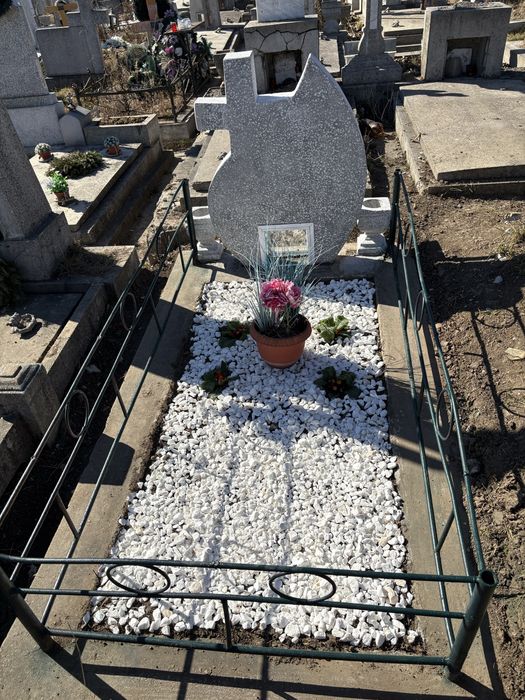 Loc de veci / Cimitir Eternitatea (aleea principală).