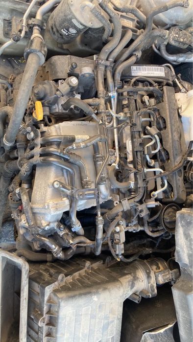 ШкодаSkoda Октавия IIII на части1.6TDI 105кс 2014г