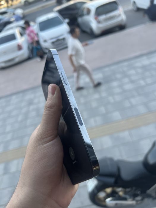 12Pro Max hammayogi radnoy