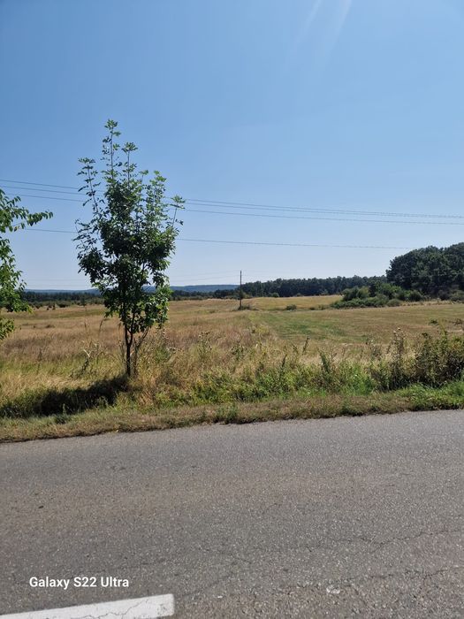 Teren în Târgu-Cărbunești - 12500 mp - 10€/mp