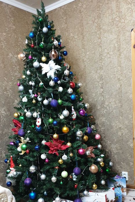 Продается пушистая новогодняя елка / Sotuvda archa