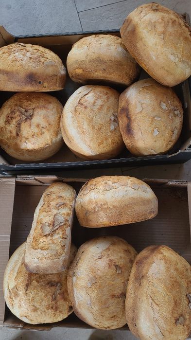 Pâine de casa tradițională și cozonaci