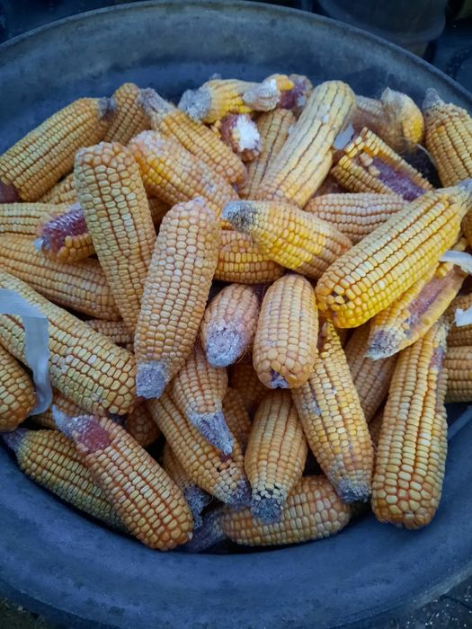 4киловаттный дробилка 3000об,380v