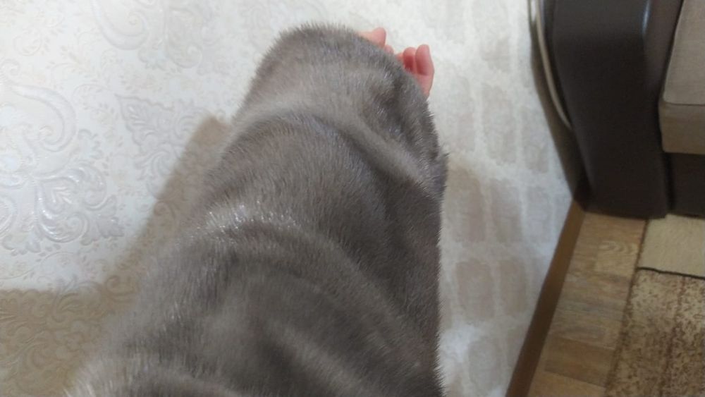 Продам норвковую шубу