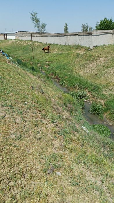 Назарбек Туркистонда 3 сот ер сотилади! Нархи сотиги7000 дан.