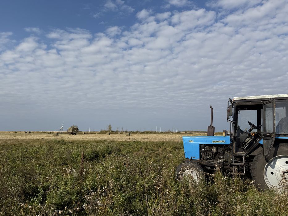 Продам МТЗ 80 2016 года