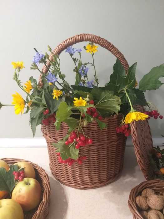 Плетёные корзины