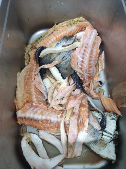 Сёмга обрезки вырезки голова