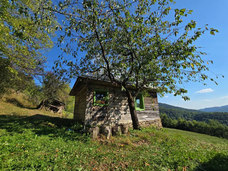 Vând teren 10,5 ha cu casă și sură, 3 izvoare, Bistrița