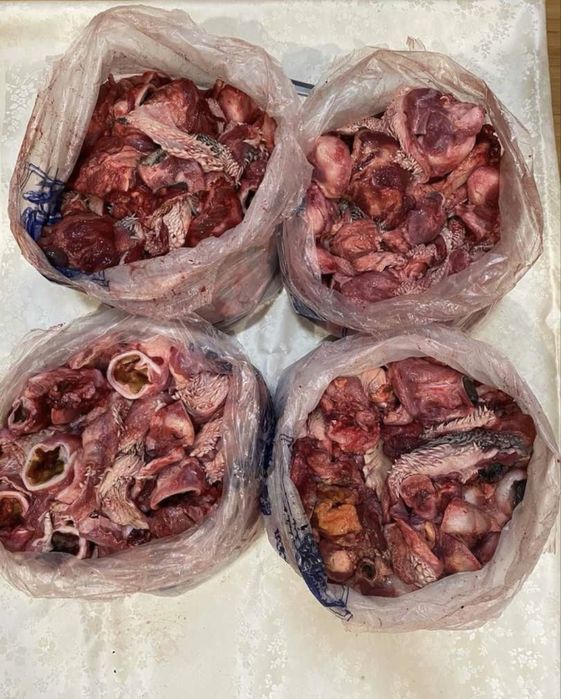 Корм для собак и кошек