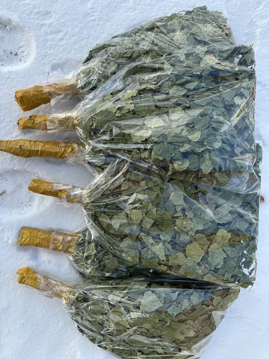 березовый веники