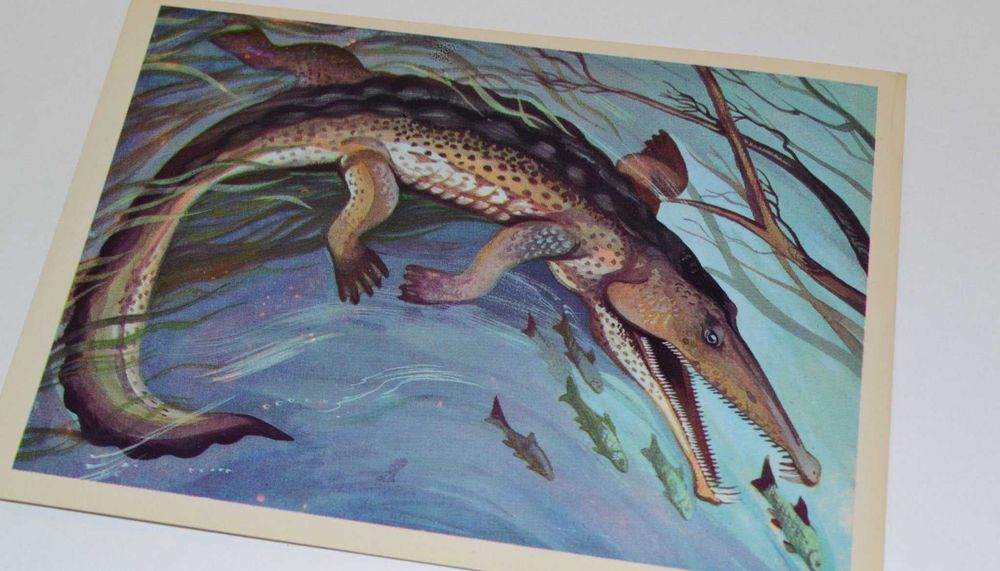 школьнику наглядное пособие происхождение жизни на земле открытки