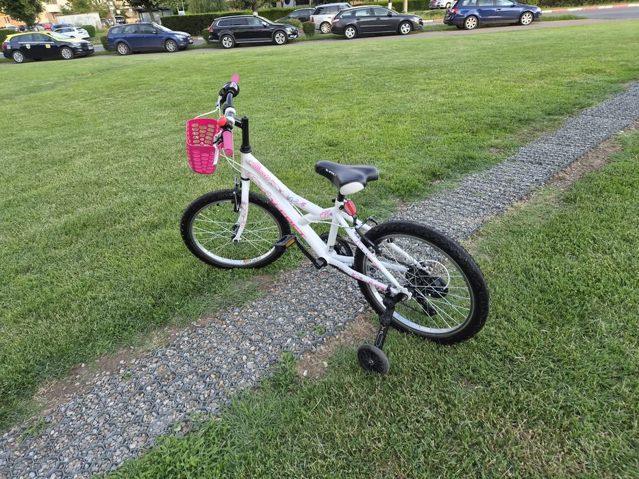 Bicicleta  fete 6-11 ani 20 inch X Fact Princess cu cos frontal