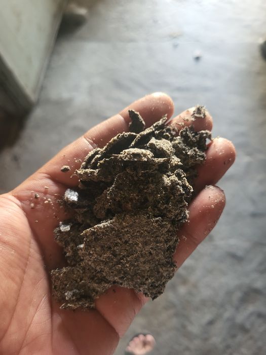 Жмых подсолнечника