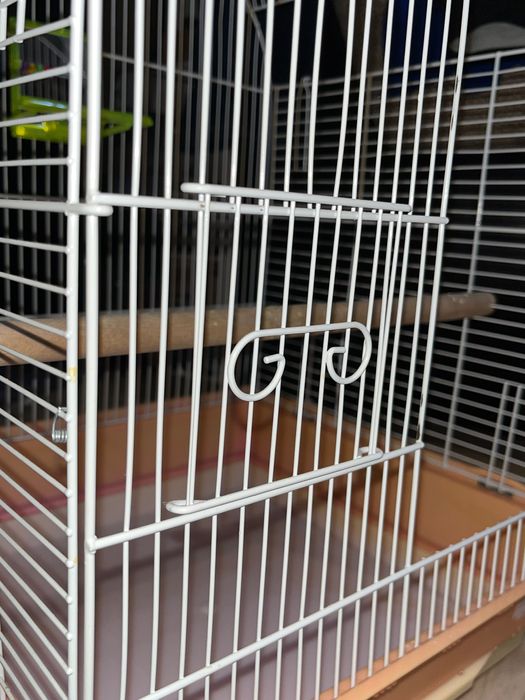 Colivie/Cusca pasari