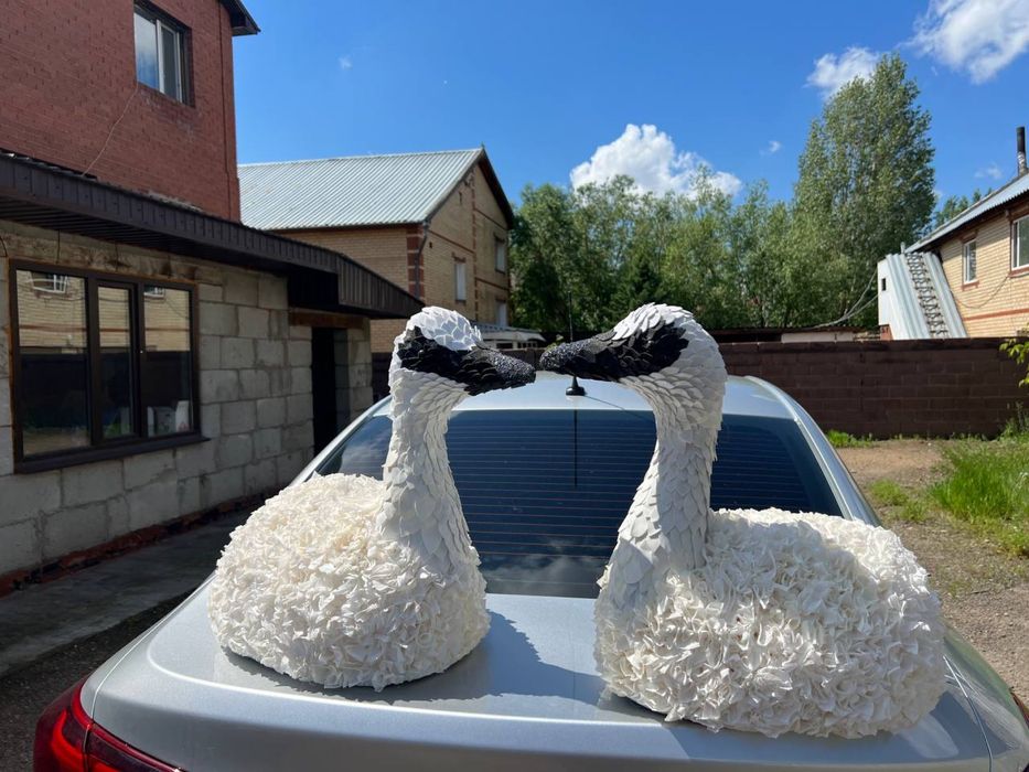 Фотофон круглый