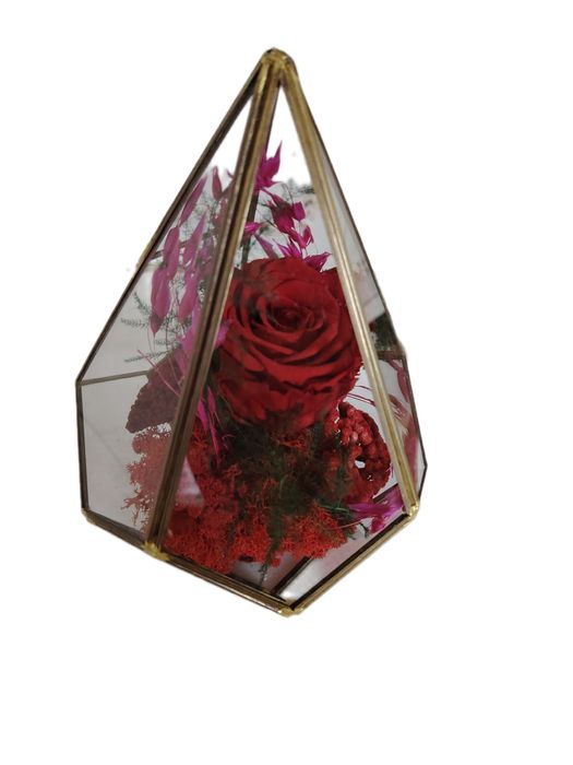 Trandafir Roșu Criogenat în Terariu de Sticlă – Cadou Elegant Premium