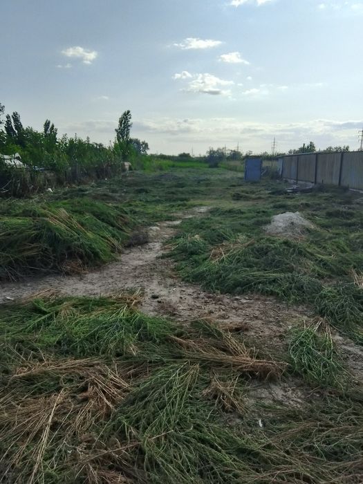 Шоп шабамыз   шоп швбу