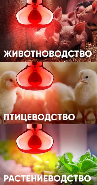 Красная лампочка инфракрасная