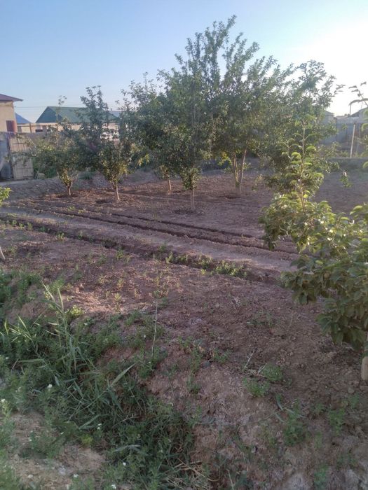 Хожан ауылда жай сатылады