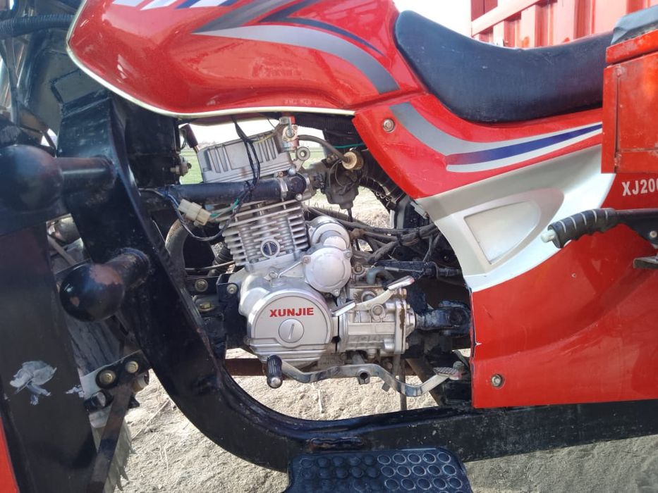 Muravey yangi kam yurigan