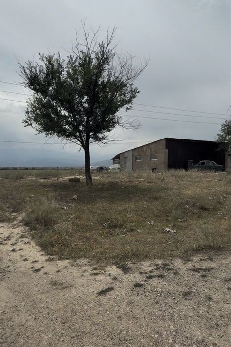 Турарда участок сатылады
