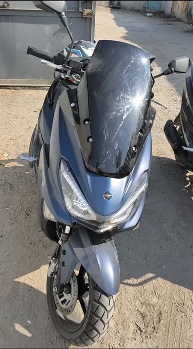 Gst tiger holati yaxshi