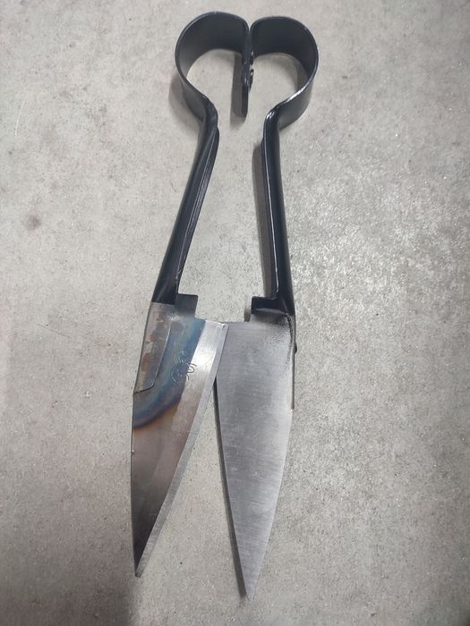 Foarfecă pentru tuns oi