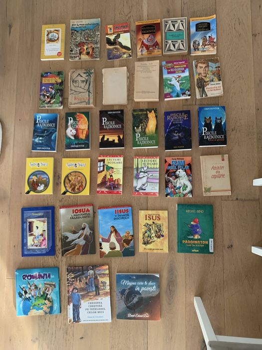 Carti diverse orice la 10 lei