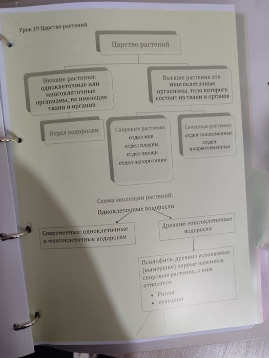 Файл, блокнот и тд. Множество назначений