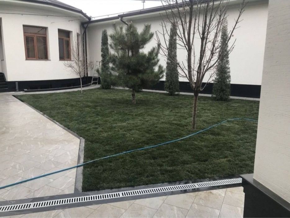 Газон разних видоф
