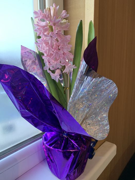 Предзоказ Геоцинт