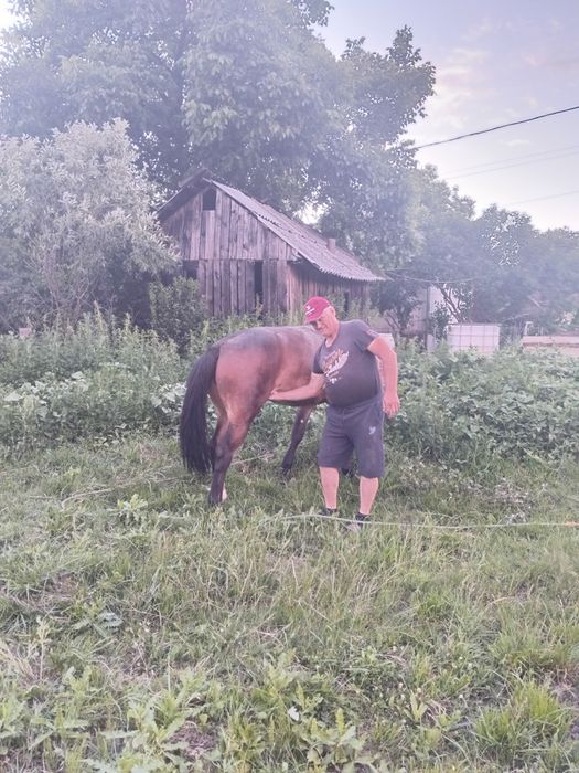 Schimb mânză de 1 an si 6 luni