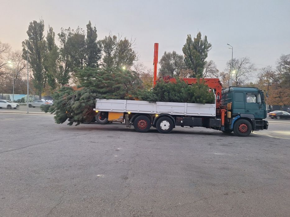 Услуги Манипулятора