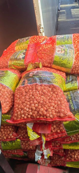 Vand Arpacic Olandez Exstra Calitate