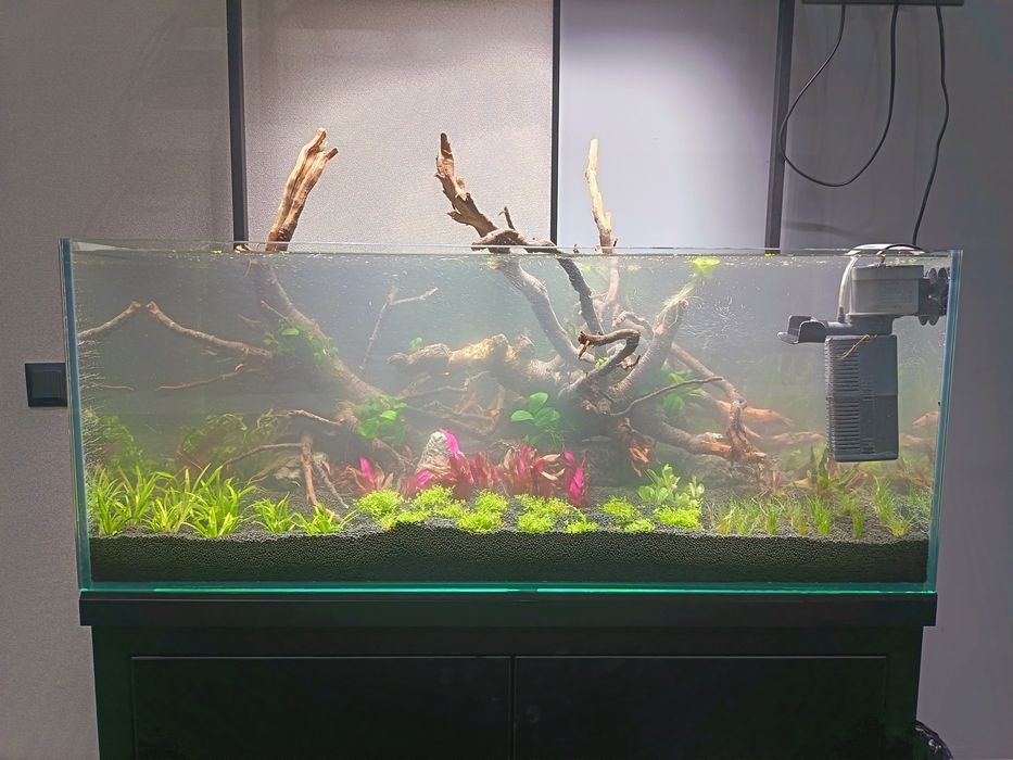 Аквариум 200 литров